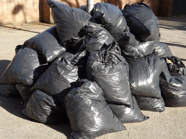 Junk Removal - bags of trash