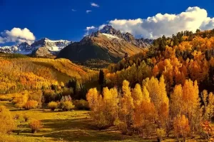Aurora Colorado - Trees and mountains in Fall