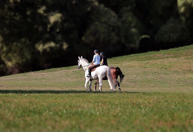 Equine Therapy-two people on horses in field