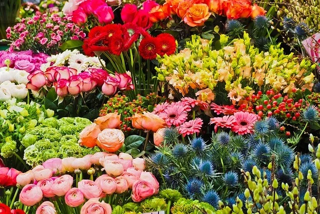 Florist Business-assortment of flowers