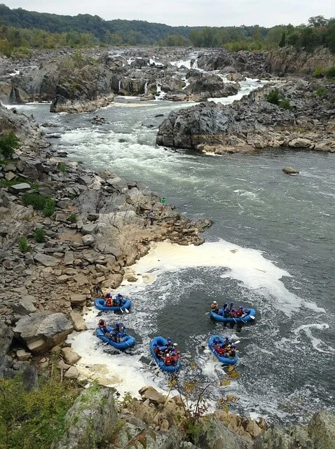 River Guide Business-Four rafts full of people on river