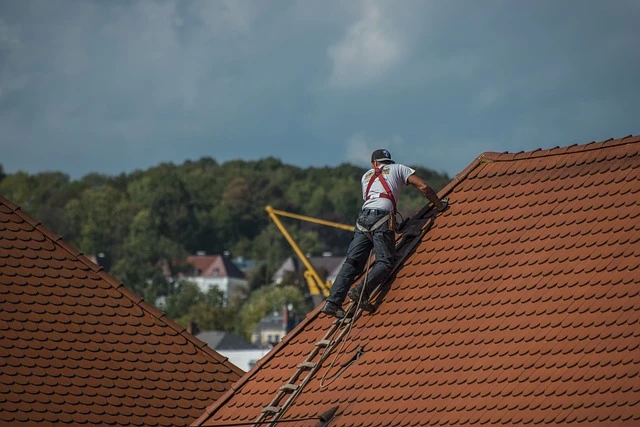 Roofing Business-roofer